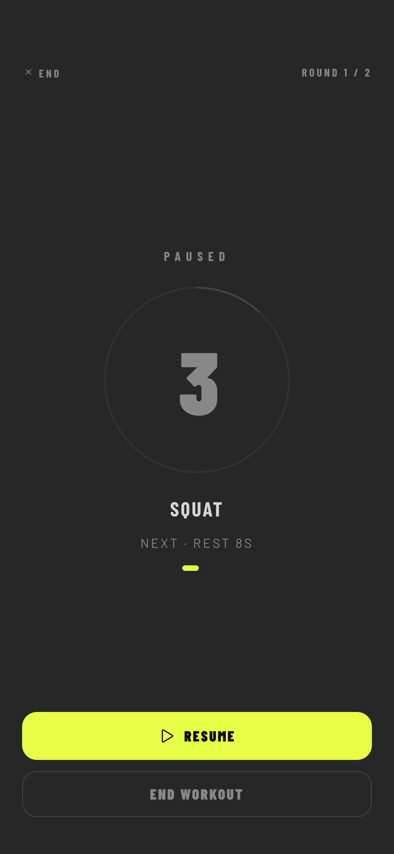 Timer paused — Resume and End Workout buttons visible